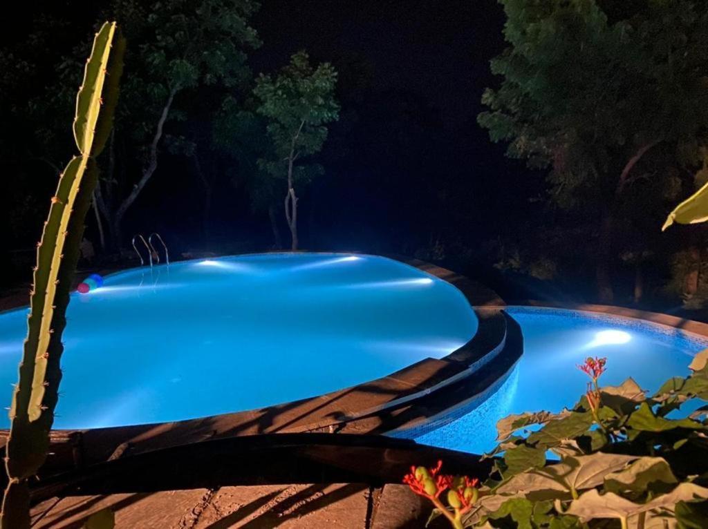 Amaltas Villa Udaipur Buitenkant foto